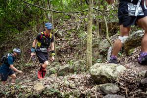 BIB: 
                            <button type="button" onclick="openModal(19380338)" class="btn btn-primary btn-sm float-right btn-popup" data-toggle="modal" data-target=".modal-high-quality">
                        <i class="fas fa-shopping-cart"></i> Add to Cart
                    </button>
                                            <button type="button" onclick="isThisMe(19380338, true)" class="btn btn-success btn-sm float-right btn-popup btn-isme hidden" data-toggle="tooltip" data-placement="bottom" title="นี่คือรูปของคุณใช่ไหม คลิกที่นี่เพื่อเอาเข้าอัลบั้ม">
                        <i class="fas fa-plus"></i> Add to album
                    </button>
                    <button type="button" onclick="isThisMe(19380338, false)" class="btn btn-warning btn-sm float-right btn-popup btn-isnotme hidden">
                        <i class="fas fa-ban"></i> Remove from album
                    </button>